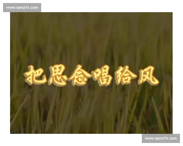 追寻那句就让秋风带走我的思念背后歌曲故事与情感魅力的深度探索